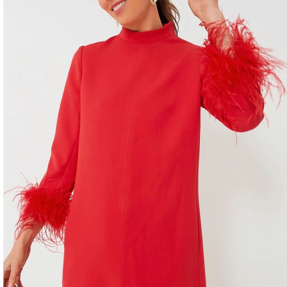 Tuckernuck Red Feather Mod Ellie Dress - Brand New with Tags- Size XL - Picture 2 of 10